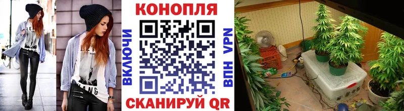 Марихуана Amnesia  Купить где  Мышкин 